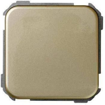 Tapa Ciega para Mecanismo Simon 31800-34
