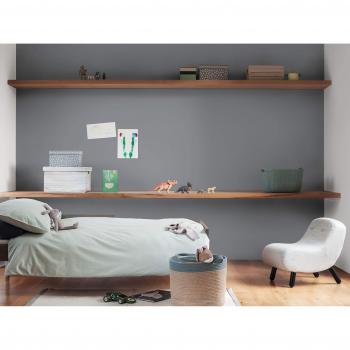 Dulux 5L Silk Emulsion Paint