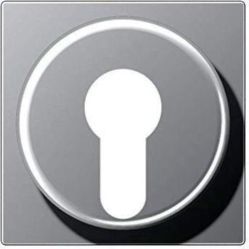 Interruttore JUNG A528PLAL con chiave
