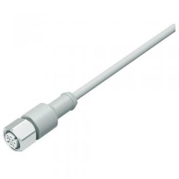 Connecteur Soudé M12 Droit – Binder 77 3730 0000 40404‑0200 R624081