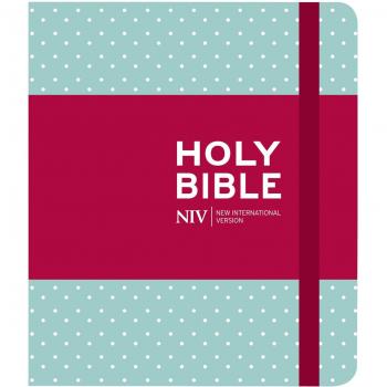 NIV Journalling Mint Polka Dot Cloth Bible