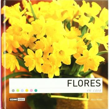 FLORES EN CASA