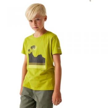 T-shirt Vert pour Enfant Bosley VIII 7-8 Ans