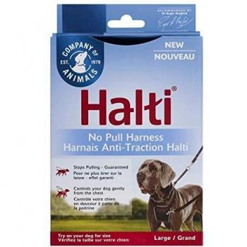 Zanvic CoA Halti No Pull Harness