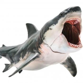 Megalodon Pro‑Action – Requin éducatif