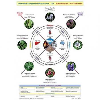 Wandtafel Traditionelle Europäische Naturheilkunde TEN: Humoralmedizin