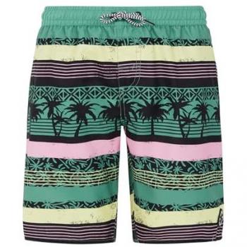 Frisby Swim Trunks