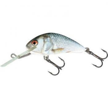 Poisson Salmo Hornet