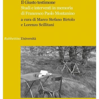 Il giusto testimone. Studi e interventi in memoria di Francesco Paolo Montanino