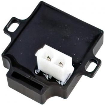 Centralina Frecce Qualità Premium 12V 2x10W Rieju Sherco