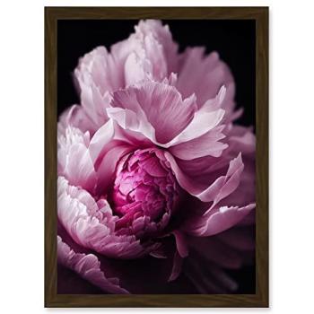 Rosebud Radiance: Pink Peony Macro Image, Framed Wall Art (A4)