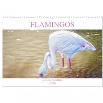 Flamingos