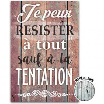 Brown Frame “I Can Resist Anything but Temptation” – Lily’s Treasures, 34x23 cm