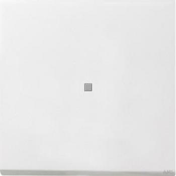 Interruttore a Pannello Bianco 0290112