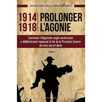 1914-1918 : Prolonger l'agonie