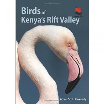 Birds of Kenya`s Rift Valley (WILDGuides)
