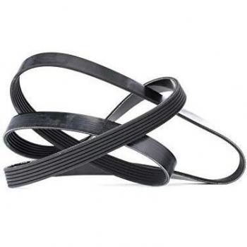 Correia trapezoidal 6 PK 1565 DAYCO