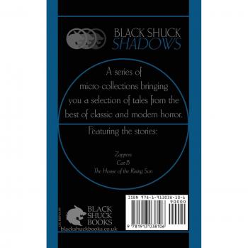 The Death of Boys (Black Shuck Shadows, Band 5)