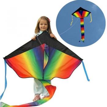 30 Meter Drachenlinie mit buntem Flugdrachen