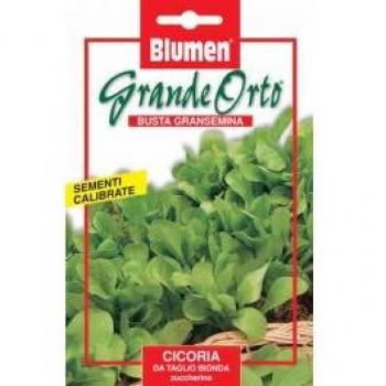 Cicoria Da Taglio Bionda Zuccherina Blumen Sementi