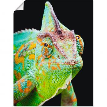 Artland Wandaufkleber »Yemen Chamäleon«, Reptilien, (1 St.)