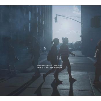 It's All Shaken Wonder