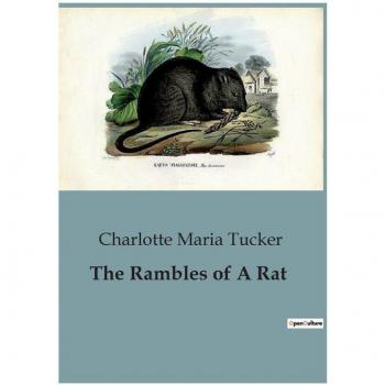 The Rambles of A Rat