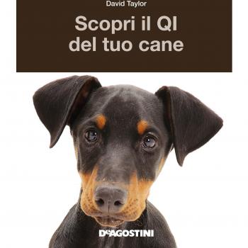Scopri il QI del tuo cane