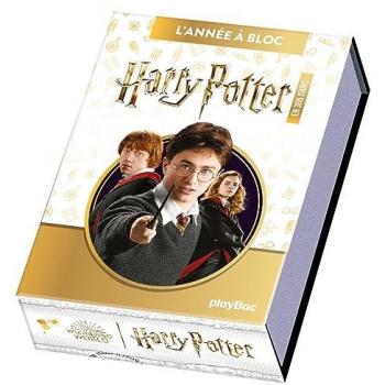 L'année à bloc : Harry Potter : en 365 jours