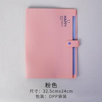 A4 Portfolio File Organizer