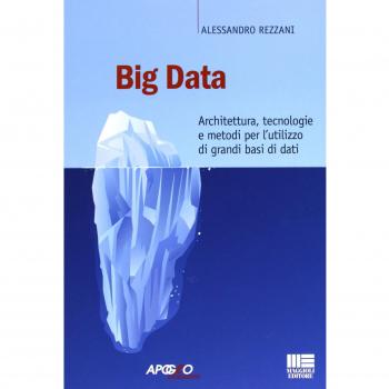 Big data. Architettura, tecnologie e metodi per l'utilizzo di grandi basi di dati