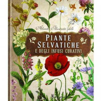 Atlante illustrato delle piante selvatiche e degli infusi curativi