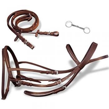 Vidaxl Leather Flash Bridle with Reins and Bit