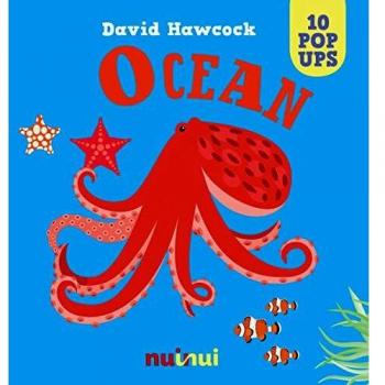 Ocean. Libro pop-up. Ediz. a colori