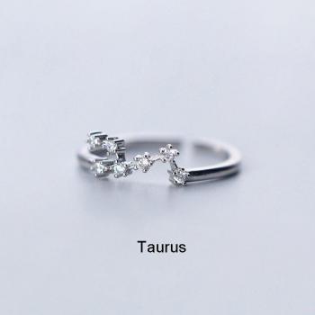 Adjustable Silver Zodiac Constellation Ring with Inlaid Cubic Zircon