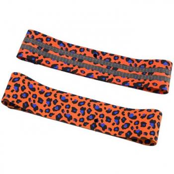 Unisex Leopard Print Workout Bands
