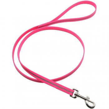 JanPet Odor-Resistant Dog Leash
