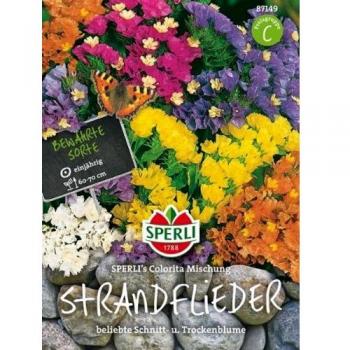 Sperli Colorita Blütenpracht Strandflieder