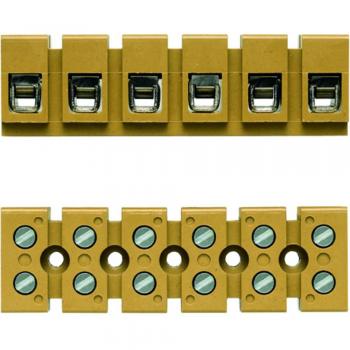 Conector Weidmüller 4 vías SAK 22-10 AWG 41A 690V Tornillo Beige