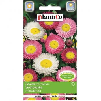 Combinazione di semi di fiori in guscio secco per il giardino 2g