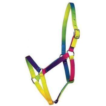 Pony Rainbow Color Halter by Waldhausen – Shettis Model