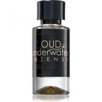 Luxury Concept Oud Underwater Intense 50 ml Unisex Eau de Parfum