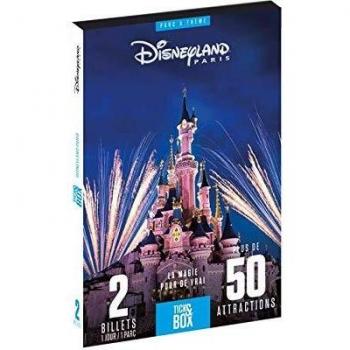 Coffret Festif Disneyland