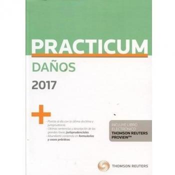 Practicum daños 2017
