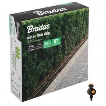 Bradas