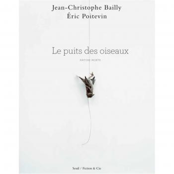Le Puits des oiseaux