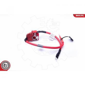 ESEN SKV Verbindungskabel, Starterbatterie BMW 61129259425