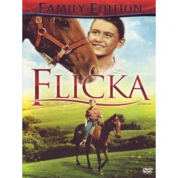 Flicka 