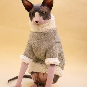 Esfinge Terciopelo Calor Gato