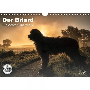 Der Briard 2020